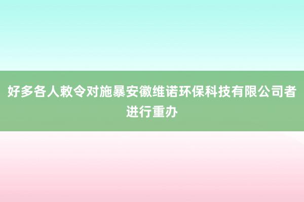 好多各人敕令对施暴安徽维诺环保科技有限公司者进行重办